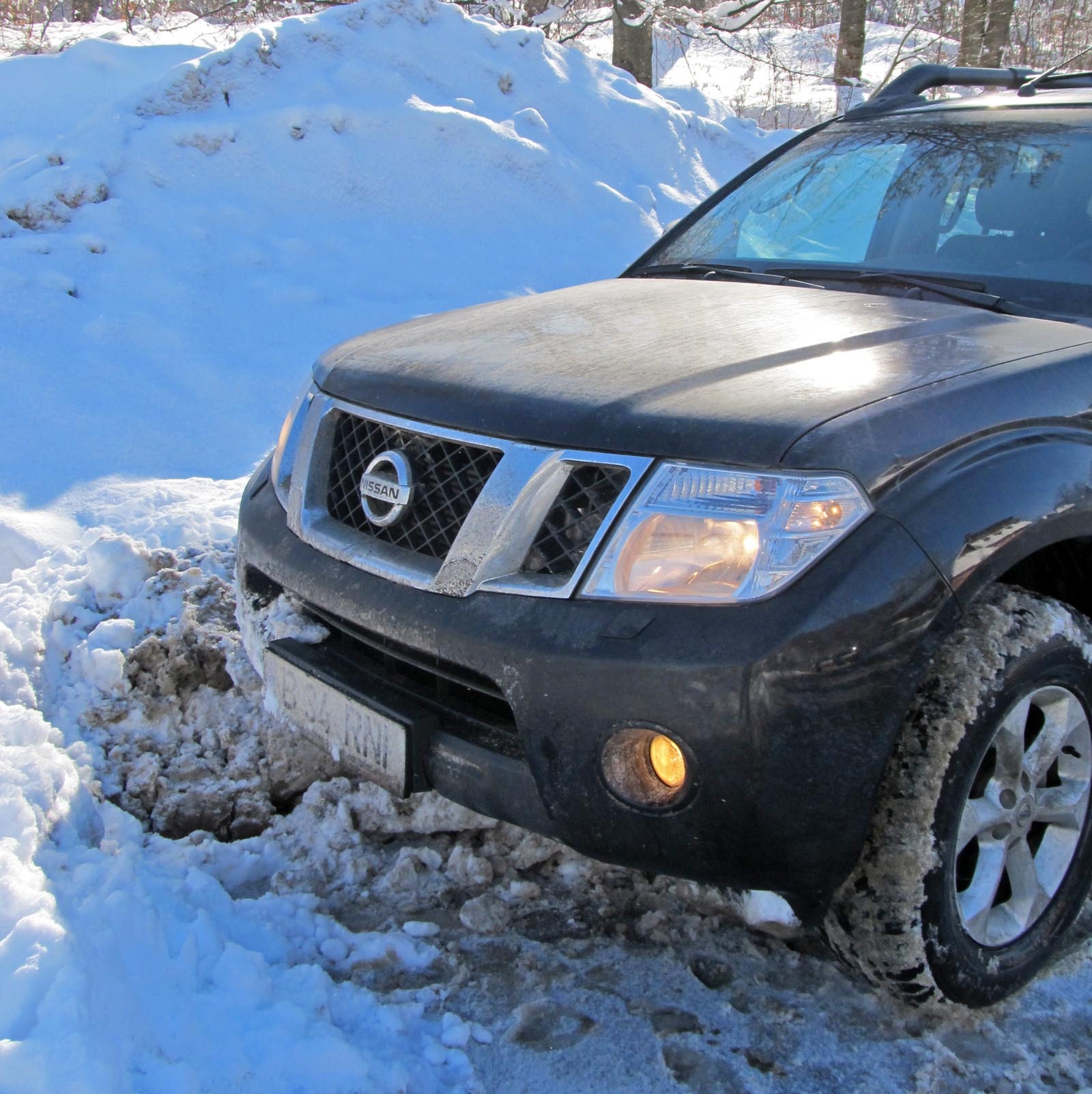 Nissan Navara - offroader serios